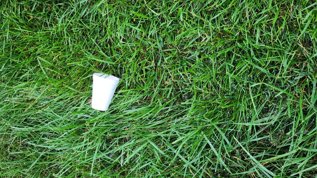 styrofoam on grass at fayebrown dot com