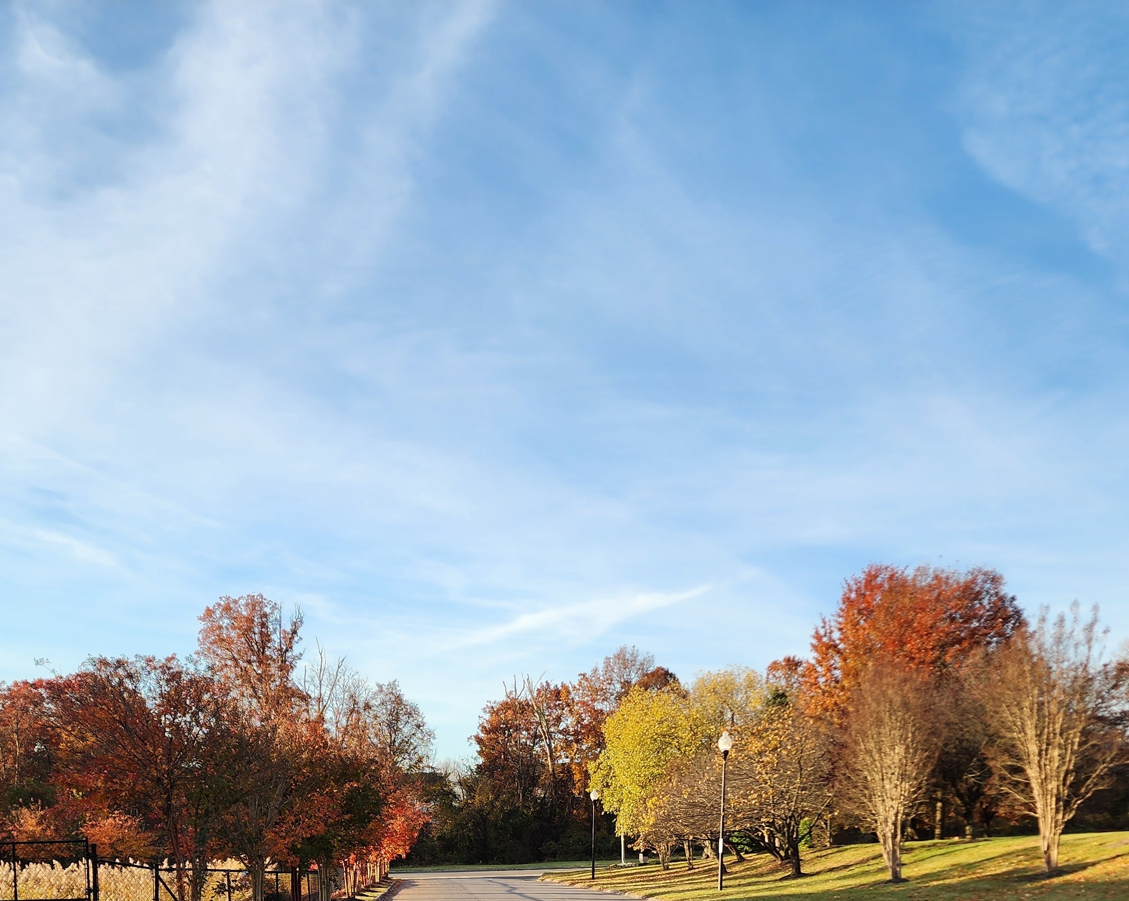 Picture That: The Yellows and Oranges in Fall, Oh My! Edition